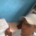 Avatar de joao carlos alves silva junior