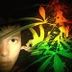 Avatar de JoNas LuMertZ