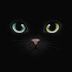 Avatar de Black Cat
