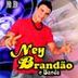 Avatar de Ney Brandão