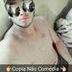 Avatar de Mhyckheyazs Da Silva
