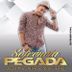 Avatar de Igor Pegada