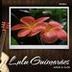 Avatar de Lulu Guímaraes - Oficial