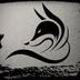 Avatar de Black_ Fox