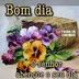 Avatar de Meu Alvo é o Céu. IADMUG