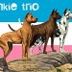Avatar de Banda Junkie Trio