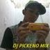 Avatar de Dj Pickeno Mix 2013