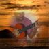 Avatar de Ailton Cardoso