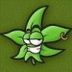 Avatar de wagner