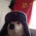 Avatar de Dog sovíetico