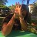 Avatar de Gleyc Tavares
