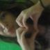 Avatar de Gabi