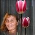 Avatar de clarice j. araujo