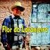 Avatar de Forró Flor da Laranjeira Banda