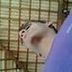 Avatar de Hercules Henrique