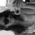 Avatar de Ingrid Gabriele Siqueira