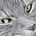 Avatar de Kaiarielly H. Fragoso