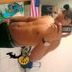 Avatar de andre nunes dos santos