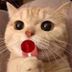 Avatar de Khloe Lanier