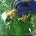 Avatar de DJ-HANILSON MILLER