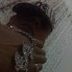 Avatar de junior