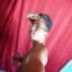 Avatar de Junior Juninho