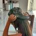 Avatar de Helo Lemes