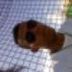 Avatar de Messias Manoel