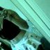 Avatar de josy