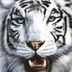 Avatar de park  linda