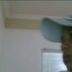 Avatar de gabriel andrade