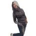 Avatar de Ana Roxo
