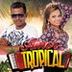 Avatar de AMOR TROPICAL