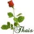 Avatar de Thais Souza