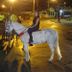 Avatar de francielly oliveira