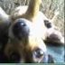 Avatar de MAYCON DOUGLAS DE JESUS OLIVEI