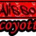 Avatar de Alisson Coyotte