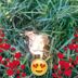 Avatar de Simonegois
