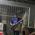Avatar de Nill Ribeiro