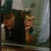 Avatar de Lílian Fernanda