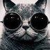 Avatar de Junior Ribas