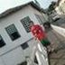 Avatar de Tiago Felix