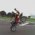 Avatar de alex felix