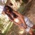 Avatar de bruna moura dos santos