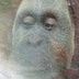 Avatar de SR CAXOPA