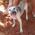 Avatar de Mari Gomes