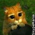 Avatar de Leonardo Antunes