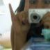 Avatar de Bruna Roduit