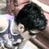 Avatar de Renan Rabelo Costa