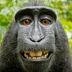 Avatar de ezequiel orbe